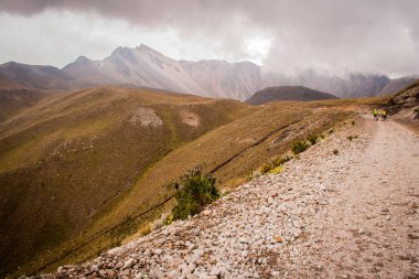 Sis, kayalar ve otlarla dolu harika bir dağ.