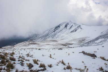 Nevado de Toluca 'nın Meksika' daki manzarası.