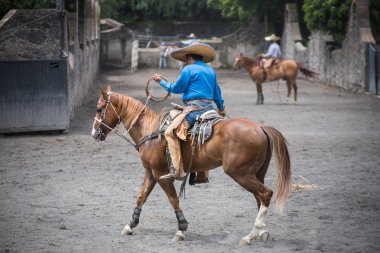 Mexico City 'de geleneksel rodeo gösterisi.