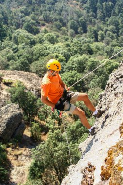 Ormandaki dağ yamacına tırmanan dağcı, yaz manzarası manzaralı yeşil kozalaklı ağaçlarla birlikte..