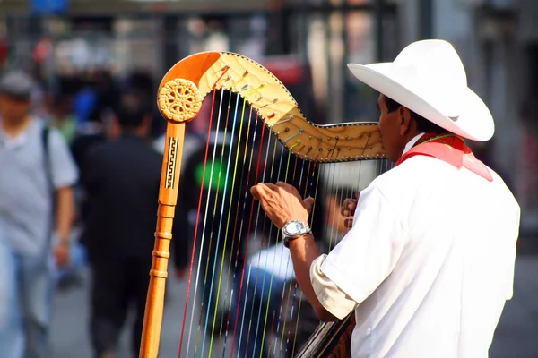 Veracruz 'dan geleneksel jarocho müzisyeni Mexico City' de turistler için çalıyor.