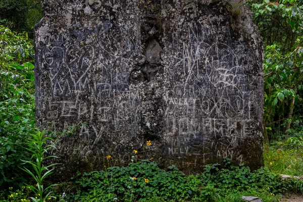 Old rock with graffiti marks in the jungle.