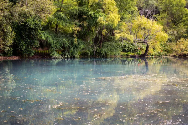 Estanque Ensueño Paisaje Forestal — Foto de Stock