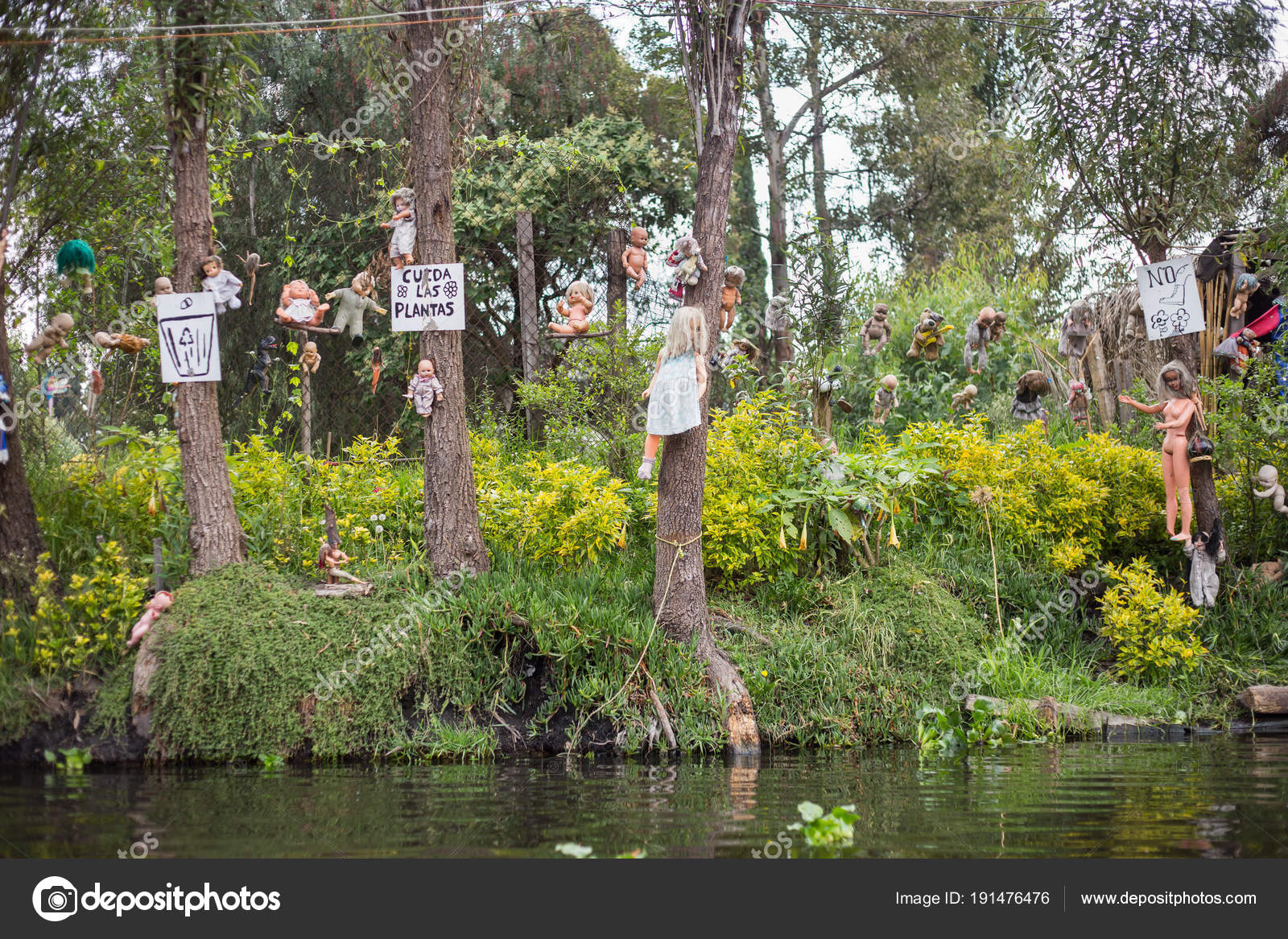 Creepy Doll Island Dolls Hanging Xochimilco Mexico Stock Editorial