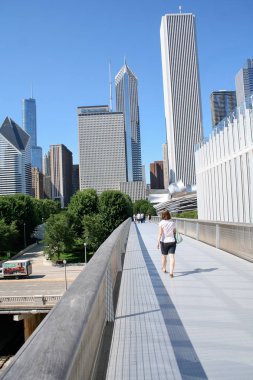Chicago, Illinois - Temmuz 30: Chicago Sanat Enstitüsü sanat empresyonist ve Post-Impressionist, dünyanın en önemli koleksiyonlarından üzerinde 30 Temmuz 2011 yılında Chicago, Illinois, ABD vardır.