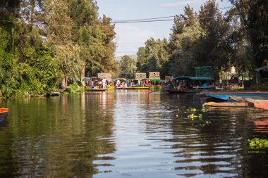 mexico City'de xochimilco's yüzen bahçeler, renkli Meksikalı gondol.