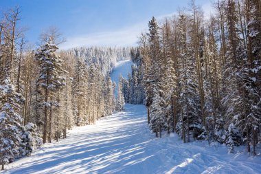 New Mexico 'daki Melek Ateşi dağlarındaki kayak pistine bakın..