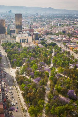 Mexico City Alameda 'nın hava manzarası