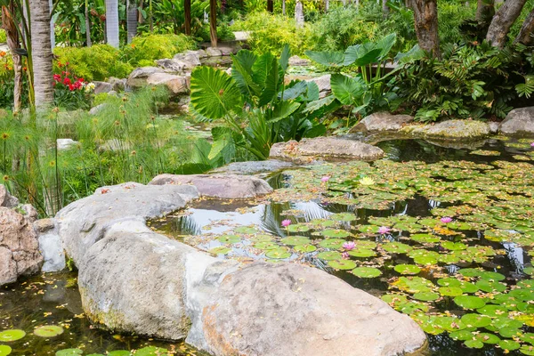Parque Tropical Pond con flor de lirio de agua — Foto de Stock