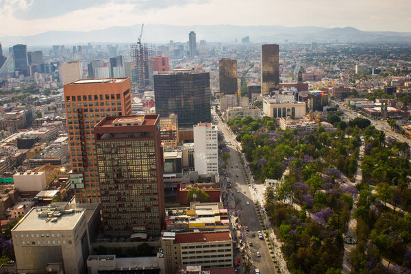 Aerial view of mexico city alameda