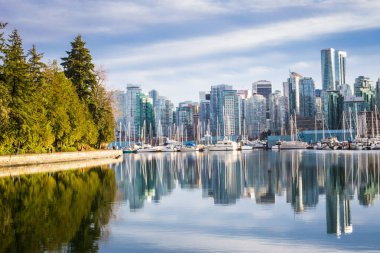 Stanley Park, Vancouver 'da tüm kış mevsiminde
