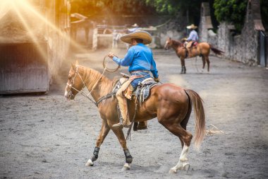 Mexico City 'de geleneksel rodeo gösterisi