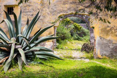 Entrnace antique door to a traditional hacienda pulquera in tlax clipart