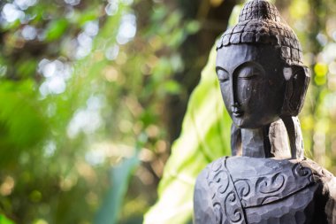 Budizm dininin tılsımı olarak kullanılan ormanda Buda heykeli.