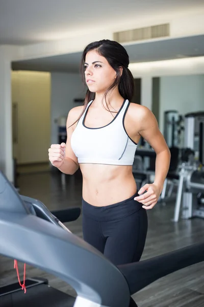 Young woman workout in gym treadmill healthy lifestyle.