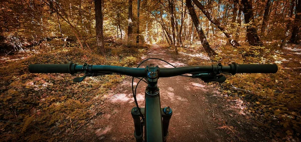 Beautiful Autumn Mountain Bike Trail Seen Eyes Biker Mountain Bike — Stock Photo, Image