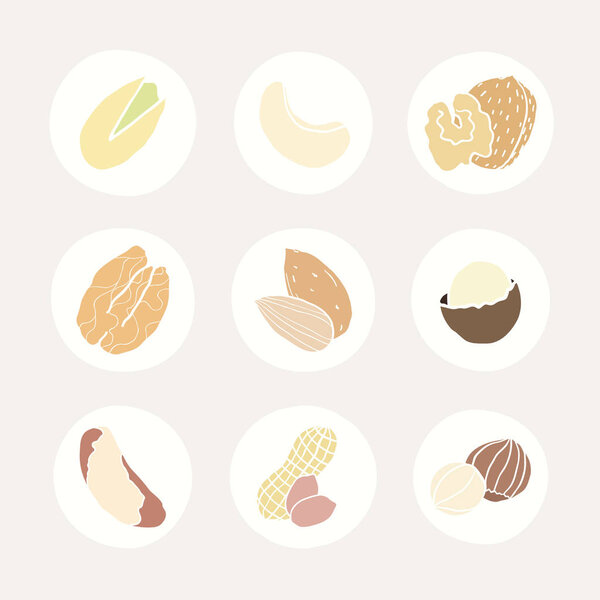 Set of different nuts icons.