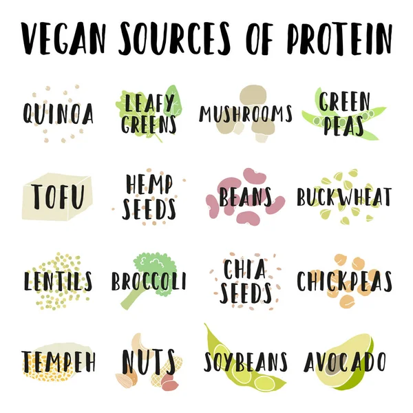 Fontes veganas de proteína . — Vetor de Stock