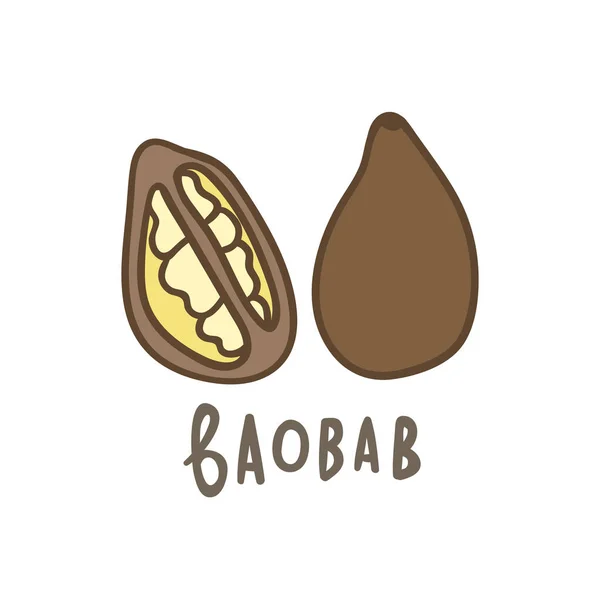 Baobab superfood isolato su bianco — Vettoriale Stock