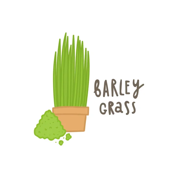 Barley rumput superfood . - Stok Vektor