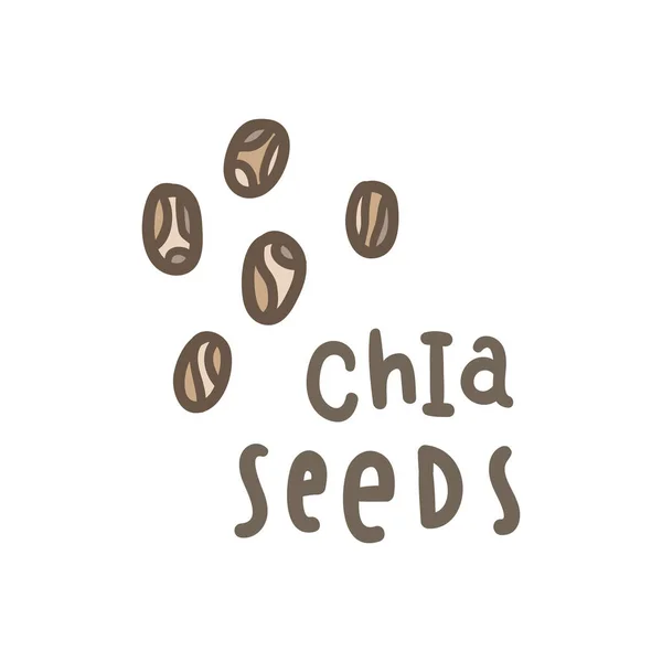 Chia tohumları superfood. — Stok Vektör