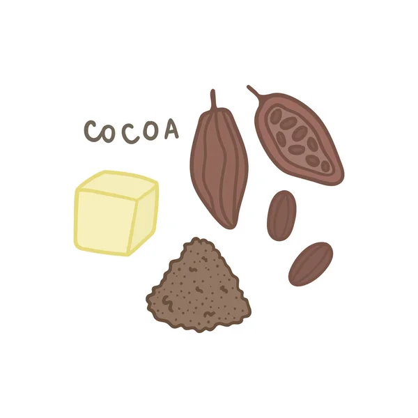 Cacao-superfood geïsoleerd op wit — Stockvector