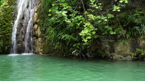 Adonis şelale, Hamam. Kıbrıs. — Stok video