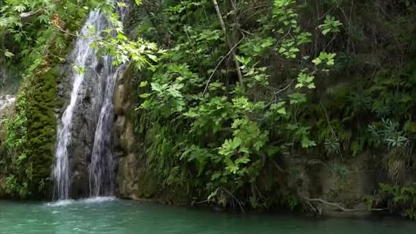 Adonis şelale, Hamam. Kıbrıs. — Stok video