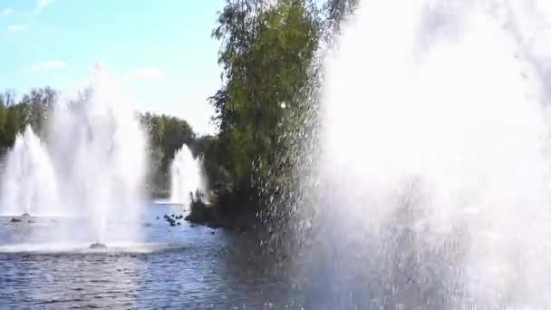 공원 분수입니다. 분수 물 호수 표면에 튀는. — 비디오