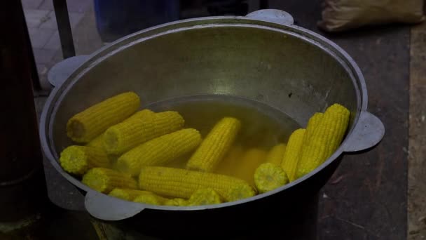 Straatvoedsel. Maïs in gekookt water te koken. Suikermaïs voorbereiding. — Stockvideo