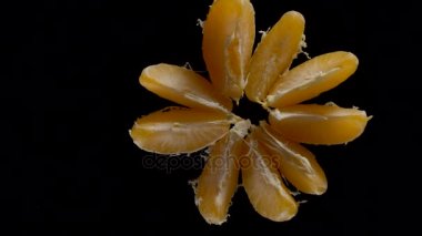 Soyulmuş portakal taze lezzetli mandarin çember