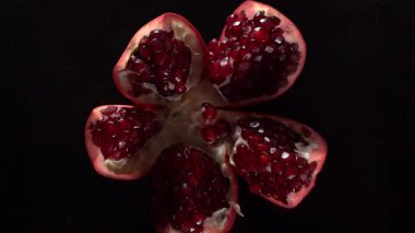 Olgun kırmızı Lal closeup döndürme.