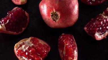 Olgun kırmızı Lal closeup döndürme.