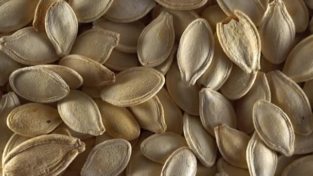 Pumpkin seeds close up. — Stock Video