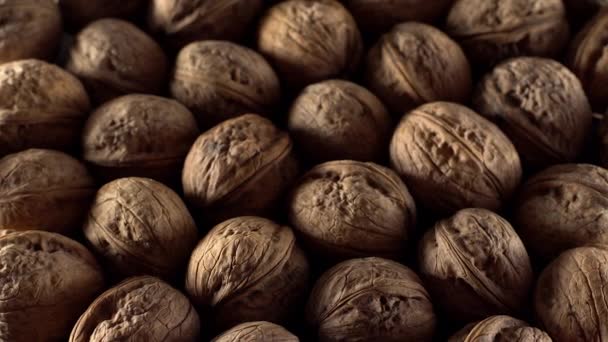 Walnuts in rotation. — Stock Video