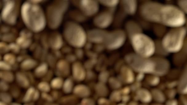 Close up de amendoins descascados girando. Fora de foco . — Vídeo de Stock