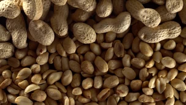 Gros plan sur les cacahuètes décortiquées tournantes . — Video