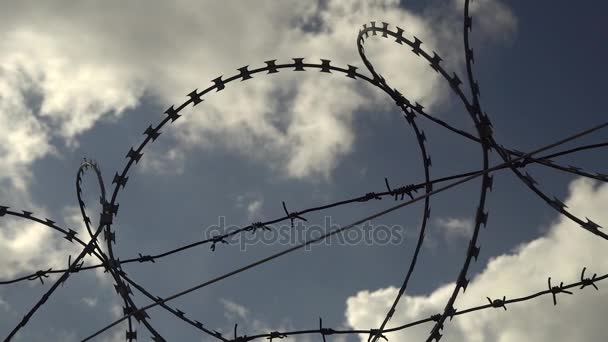 Barbed wire fence against blue sky. — Stock Video