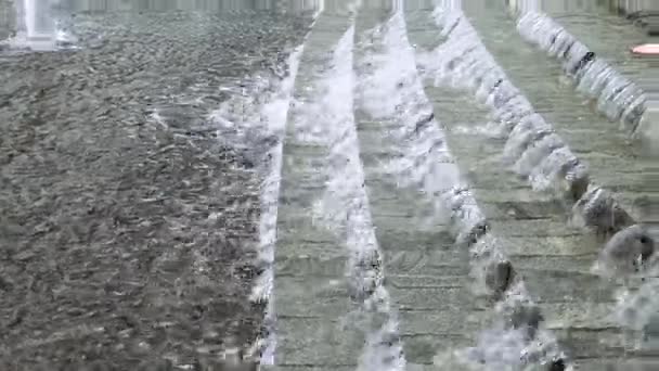 チャイルズのクローズ アップは、噴水に歩いてフィード — ストック動画