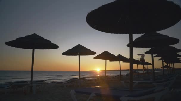 Sonnenuntergang am Strand mit Silhouetten der Strohschirme gegen den Himmel. — Stockvideo