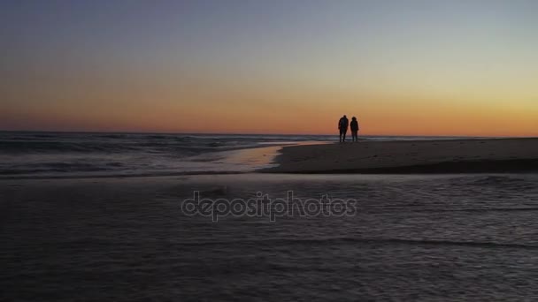 Pareja mayor caminando por la costa . — Vídeos de Stock