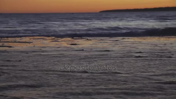 Saluda al atardecer. De cerca. — Vídeo de stock