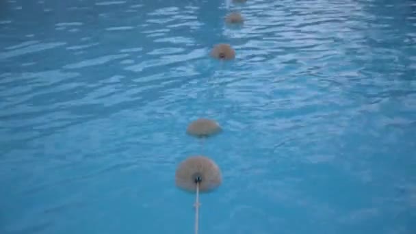 Bucle de fondo de agua de piscina. Piscina agua fondo abstracto . — Vídeos de Stock