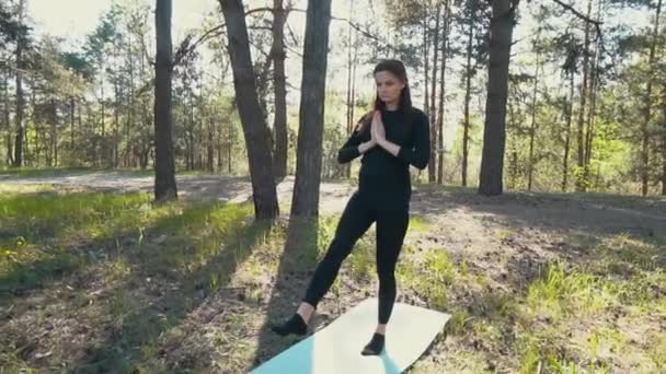 Jeune femme enceinte faisant du yoga à l'extérieur . — Video