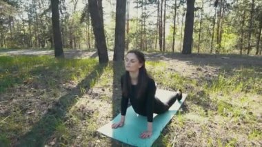 Genç hamile kadın dışında yoga yaparken.