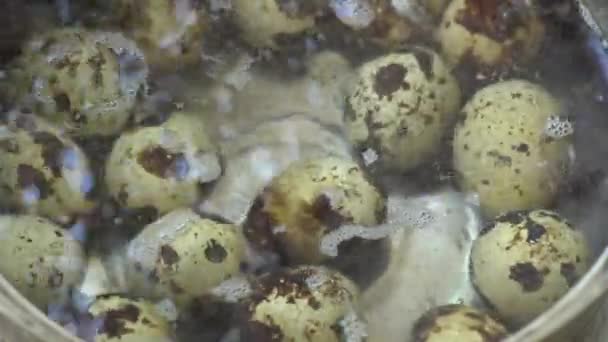Křepelčí vajíčka vaření na převařenou vodou uvnitř nerezové oceli pan. — Stock video