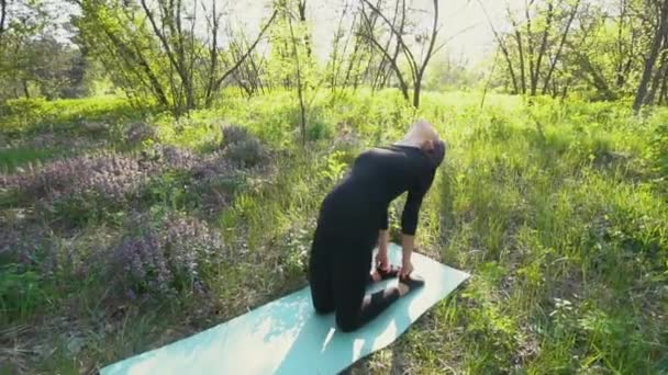 Jeune femme enceinte faisant du yoga à l'extérieur . — Video