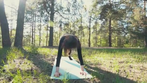 Jeune femme enceinte faisant du yoga à l'extérieur . — Video