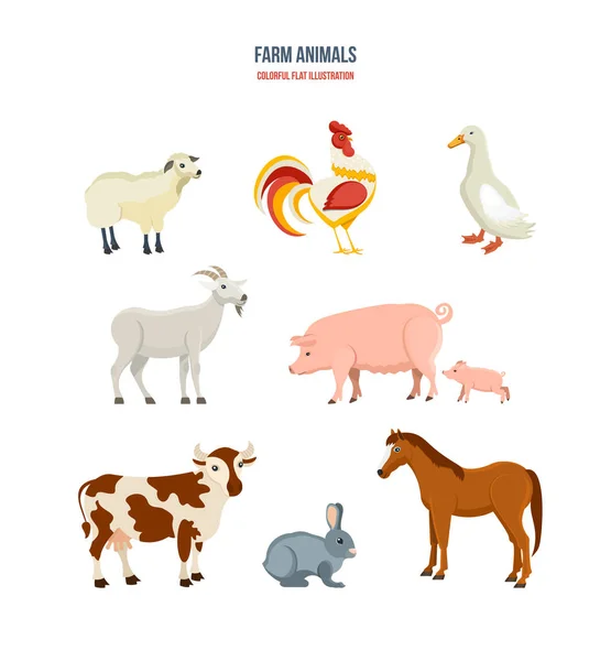 Set of different farm animals on white background. — Stock Vector