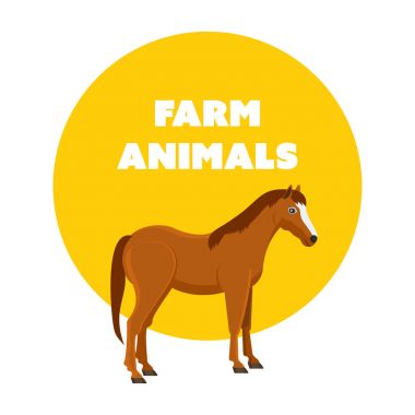 Kahverengi at beyaz arka planda izole edilmiş.